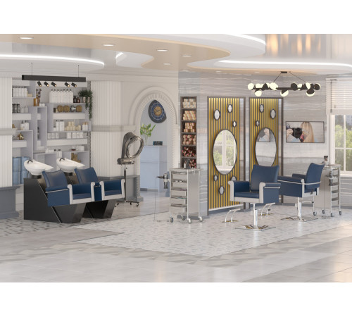 Косметологическое кресло МД-848-4, Белый (Элегия-4С)