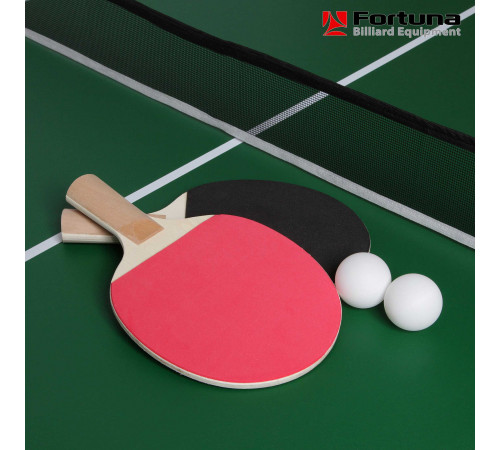 Бильярдный стол Fortuna Пул 4фт 9 в 1 с комплектом аксессуаров