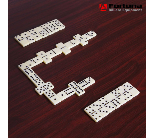 Бильярдный стол Fortuna Пул 4фт 9 в 1 с комплектом аксессуаров