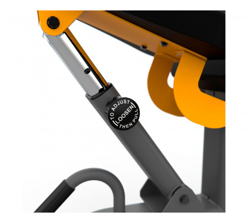 Скамья универсальная STONERISE DS01