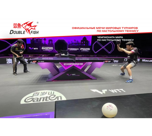 Мячи для н/т Double Fish V40+ 3 star WTTC (6шт.)