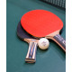 Ракетка для настольного тенниса Top Team 700