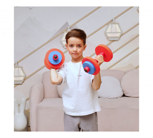 Гантели детские DFC (комплект 2 шт) VT-2009
